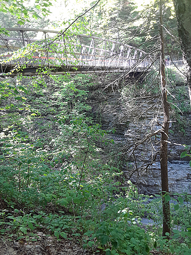 This is the suspension bridge that connects the north rim trial and the south rim trail near the campgrounds at the south entrance.