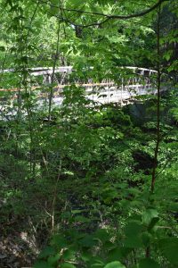 This is the suspension bridge that connects the Indian Trail and the North rim trial to the south rim trail near the campgrounds at the south entrance of Watkins Glen State Park.