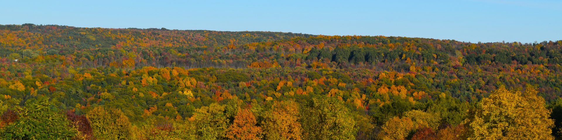 Fall view from St. Michael's