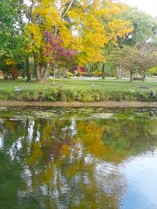 fall foliage vitale park lakeview ny