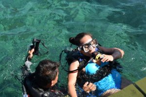 Learn how to scuba dive