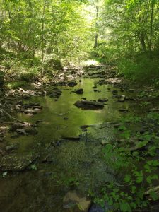 Stephenhouse-trail-creek