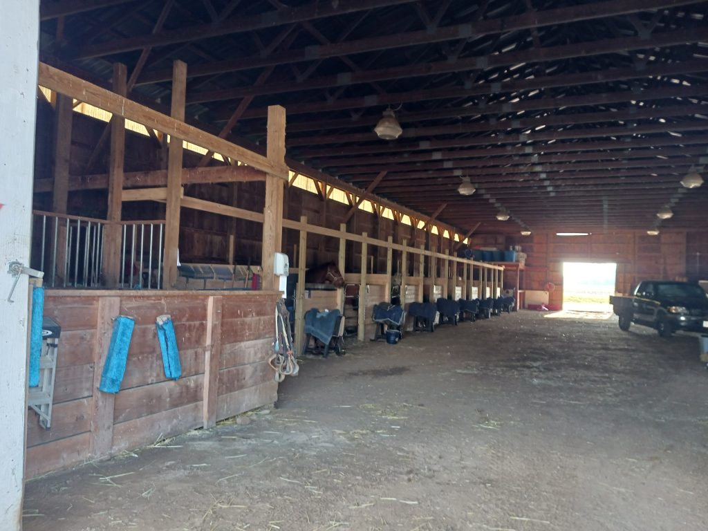 Stalls at A horse's friend